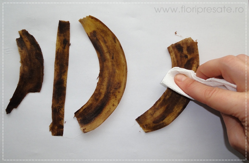 FloriPresate-banane5