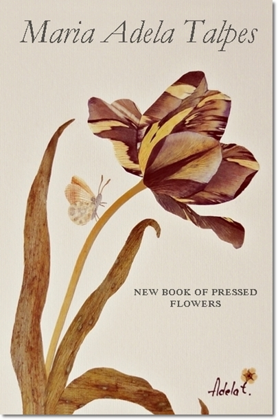 NewBookMaria