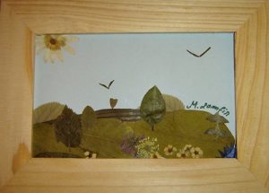 Peisaj natur